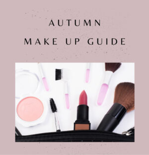 Make Up Guide - Autumn